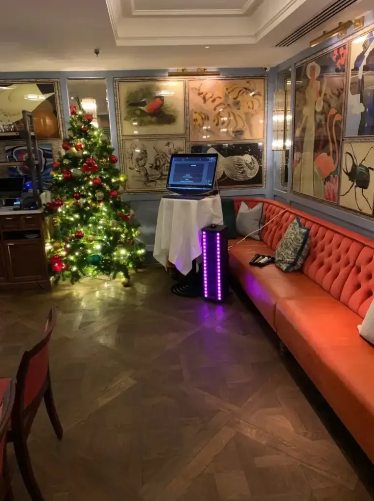 Silver-Xmas-Lights-768x1030