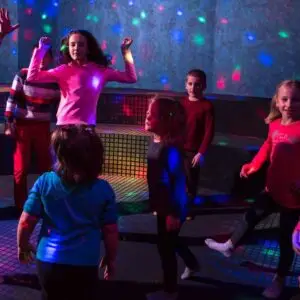 Karaoke Machine Hire (Setup Included)